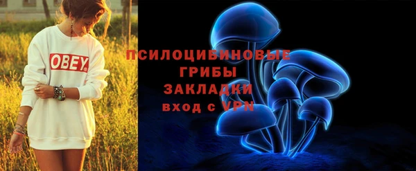 mdpv Анжеро-Судженск