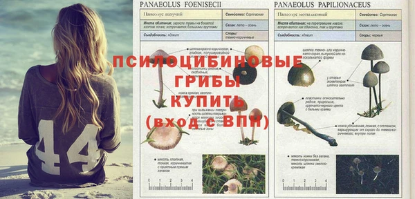 трава Нея
