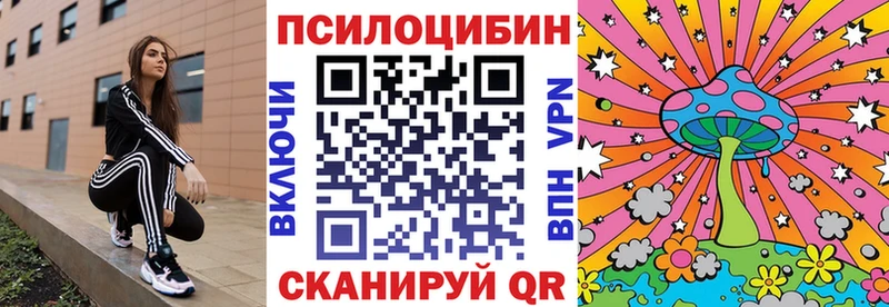 цена   Петропавловск-Камчатский  Псилоцибиновые грибы Psilocybine cubensis 