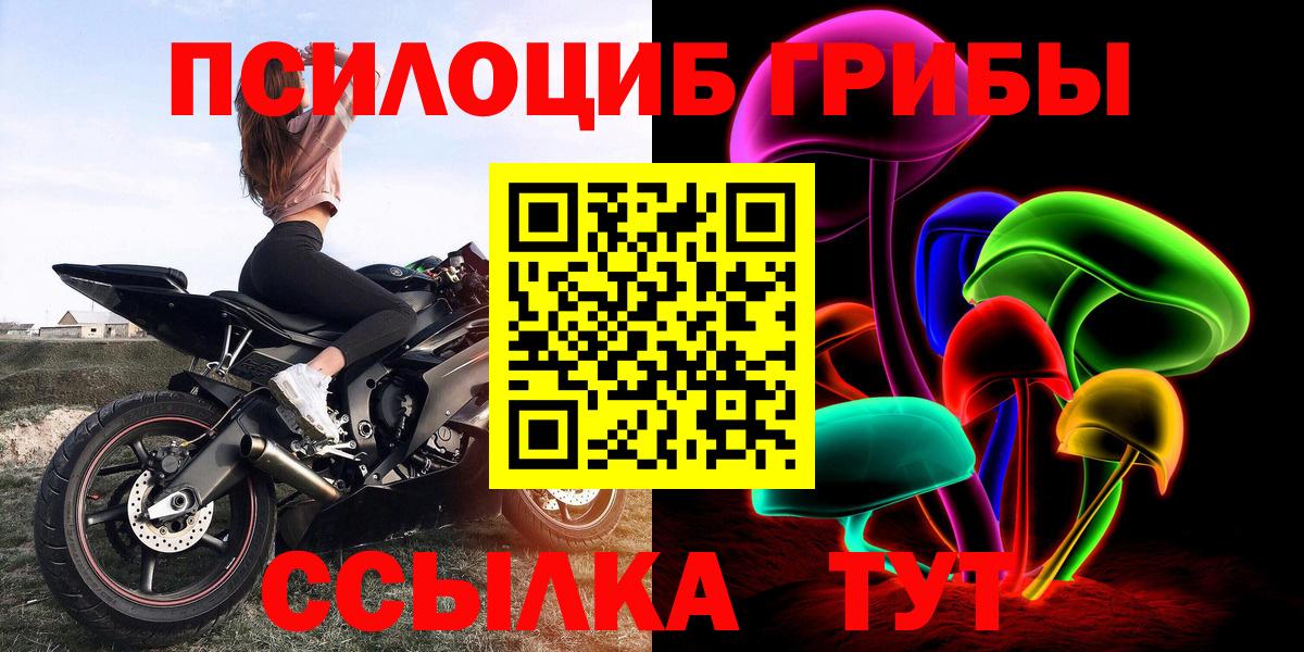 Псилоцибиновые грибы MAGIC MUSHROOMS  Псилоцибиновые грибы ЛСД  Петропавловск-Камчатский 