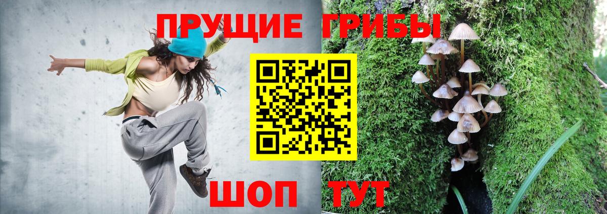 Галлюциногенные грибы Psilocybe Петропавловск-Камчатский