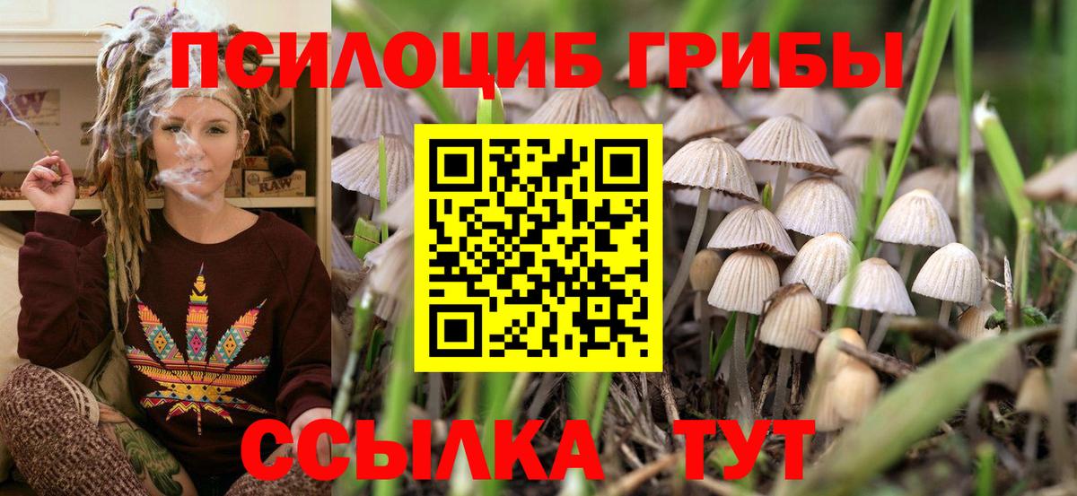 Петропавловск-Камчатский  Галлюциногенные грибы прущие грибы  Вход с VPN 