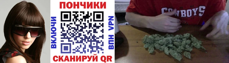 купить наркотики сайты  hydra зеркало  Бошки Шишки Ganja  Петропавловск-Камчатский 